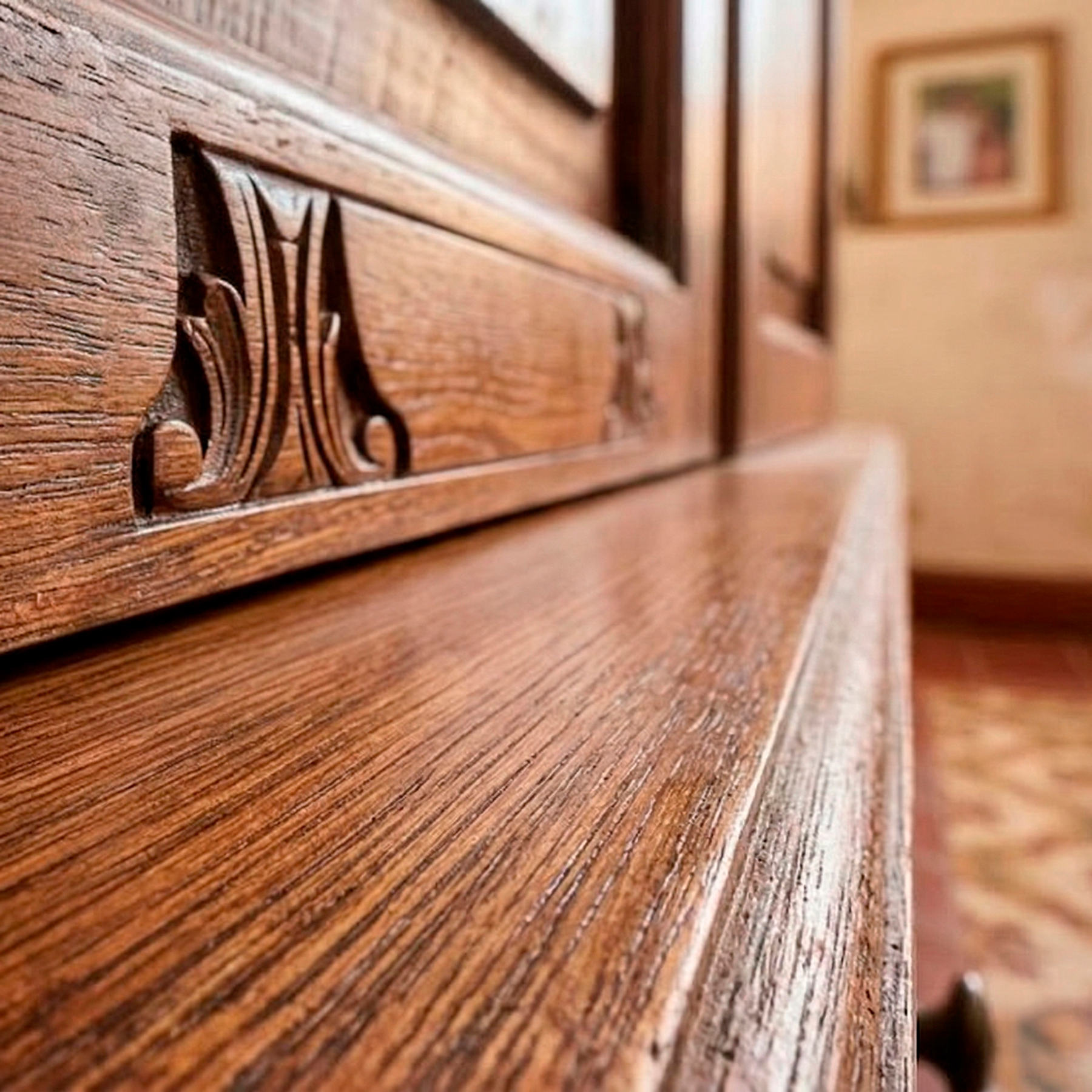 plaga de termintas exterminador y fumigacion de terminats monterrey